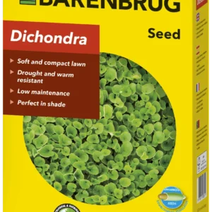 Barenbrug Dichondra