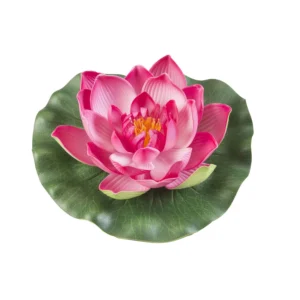 Velda Lótusz fuxia virág 20 cm