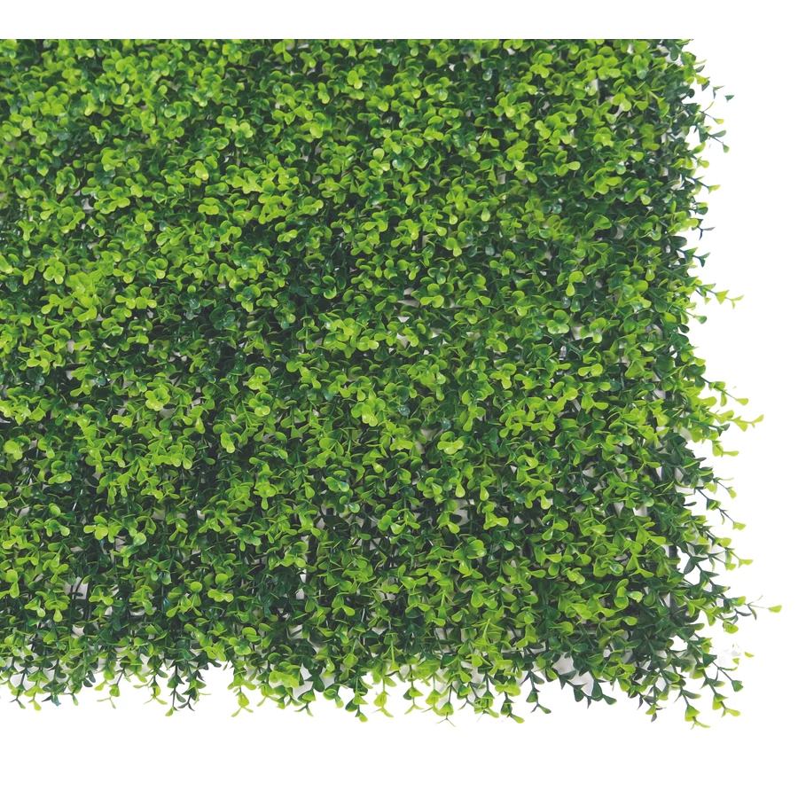VERTICAL BUXUS - Zöldfal buxus levelekkel 1 x 1 m zöld - Image 3
