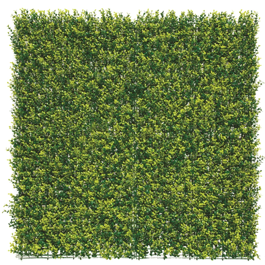 VERTICAL BUXUS - Zöldfal buxus levelekkel 1 x 1 m zöld - Image 4