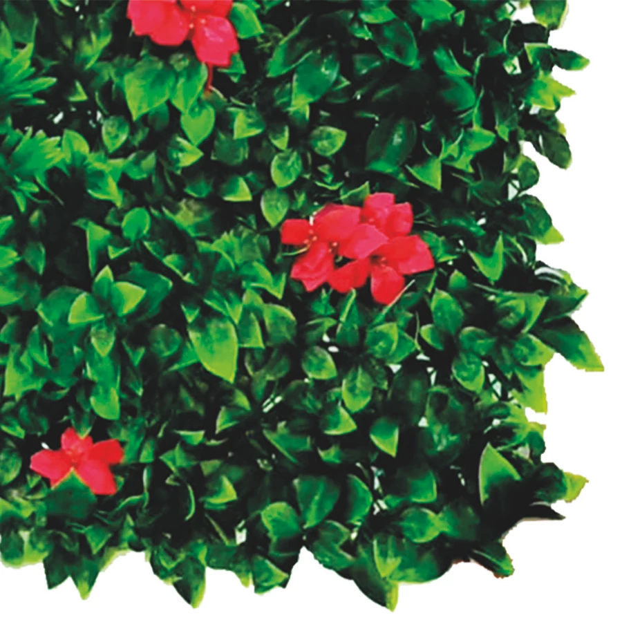 VERTICAL VILLA - Zöldfal Bougainvillea virággal. 1 x 1 m zöld,pink - Image 2