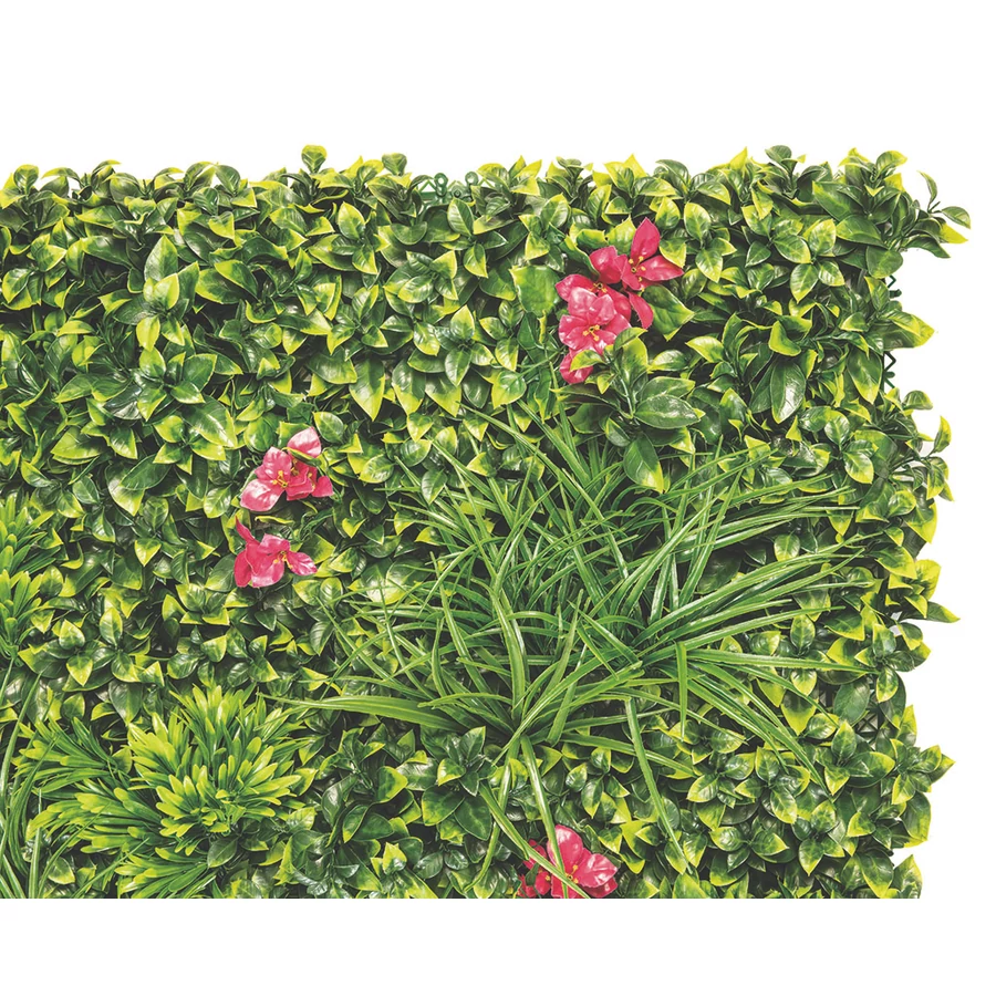 VERTICAL VILLA - Zöldfal Bougainvillea virággal. 1 x 1 m zöld,pink - Image 4