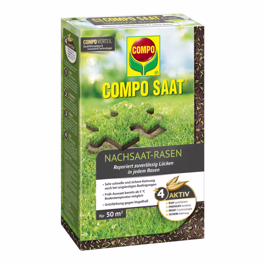 COMPO SAAT Fűmagkeverék Felülvetéshez 1KG  50 m² -re